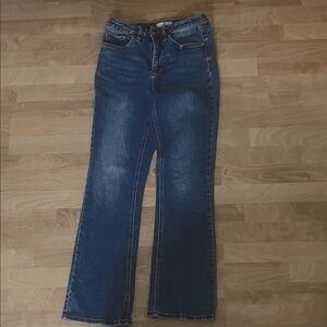 Classic Blue Flare Jeans